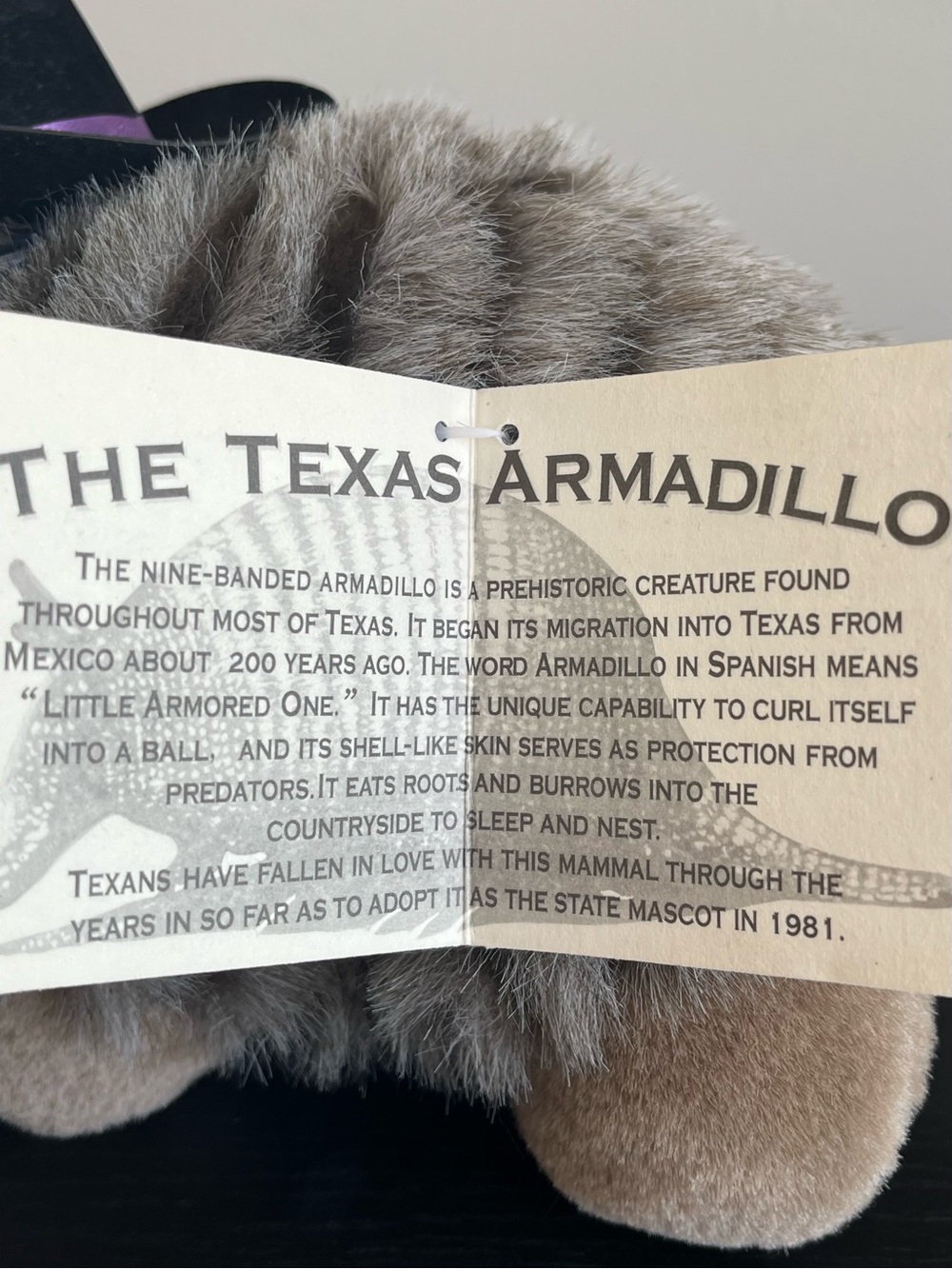 Yippie Yi Yay Texas Armadillo Stuffed Animal Plush Cowboy Hat Blue Bandana 12in - Picture 9 of 13